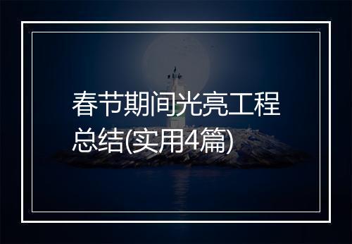 春节期间光亮工程总结(实用4篇)