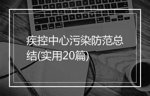 疾控中心污染防范总结(实用20篇)