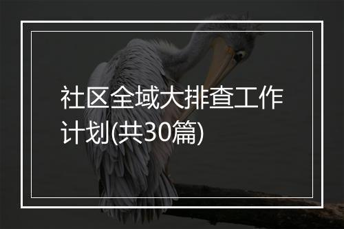 社区全域大排查工作计划(共30篇)