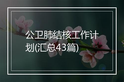 公卫肺结核工作计划(汇总43篇)