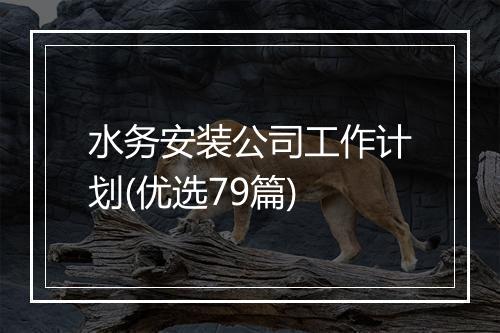 水务安装公司工作计划(优选79篇)