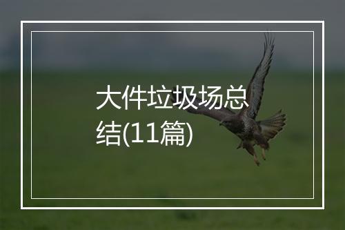 大件垃圾场总结(11篇)