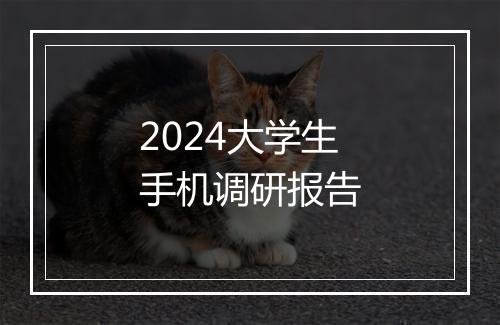 2024大学生手机调研报告