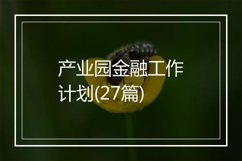 产业园金融工作计划(27篇)