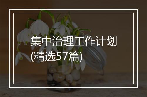 集中治理工作计划(精选57篇)