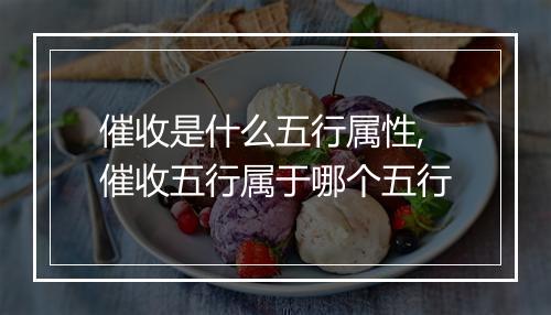 催收是什么五行属性,催收五行属于哪个五行
