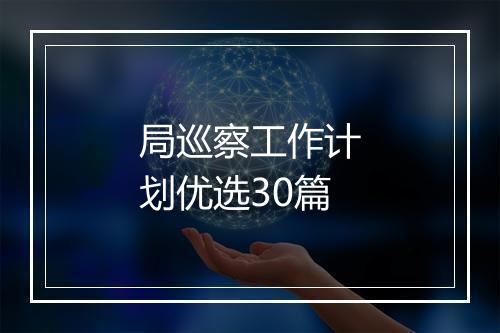 局巡察工作计划优选30篇