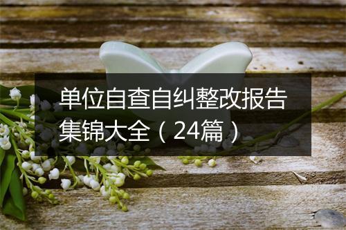 单位自查自纠整改报告集锦大全（24篇）