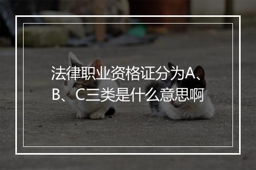 法律职业资格证分为A、B、C三类是什么意思啊