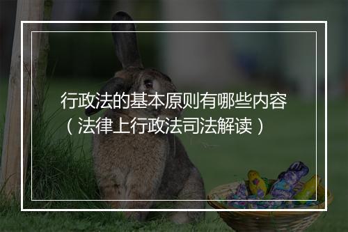 行政法的基本原则有哪些内容（法律上行政法司法解读）