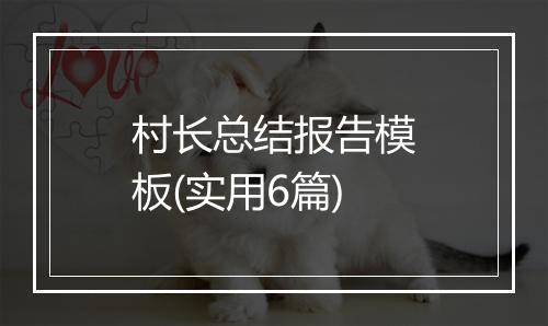 村长总结报告模板(实用6篇)