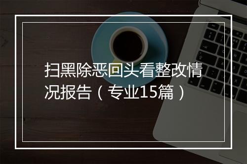 扫黑除恶回头看整改情况报告（专业15篇）
