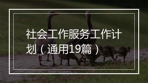 社会工作服务工作计划（通用19篇）