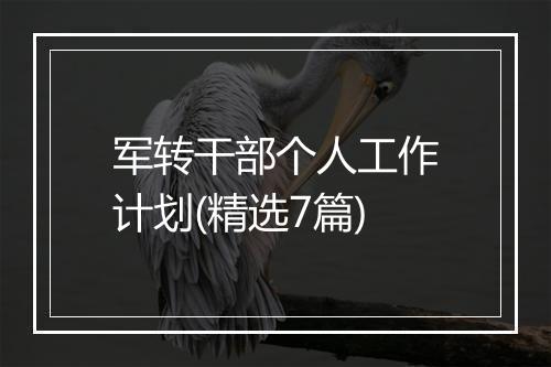 军转干部个人工作计划(精选7篇)