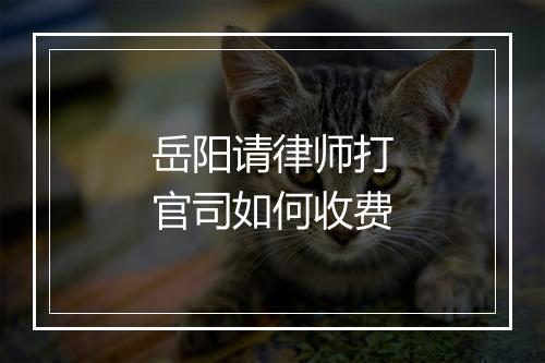 岳阳请律师打官司如何收费