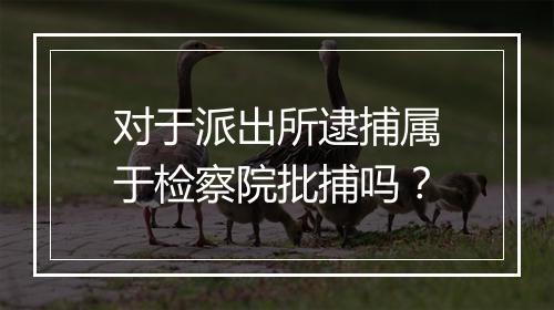 对于派出所逮捕属于检察院批捕吗？