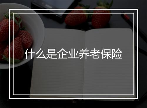 什么是企业养老保险
