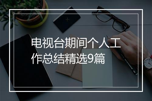 电视台期间个人工作总结精选9篇