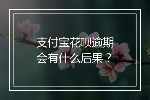 支付宝花呗逾期会有什么后果？
