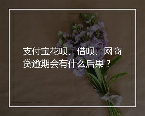 支付宝花呗、借呗、网商贷逾期会有什么后果？