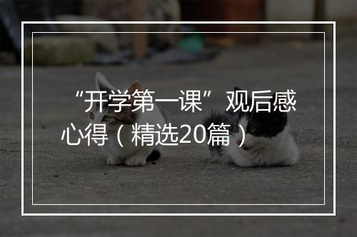 “开学第一课”观后感心得（精选20篇）
