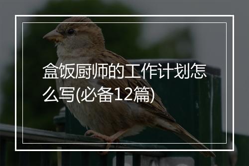 盒饭厨师的工作计划怎么写(必备12篇)