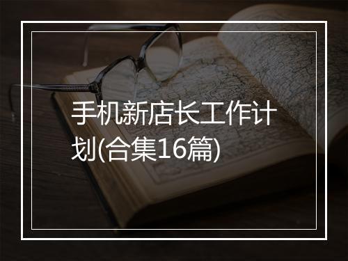 手机新店长工作计划(合集16篇)