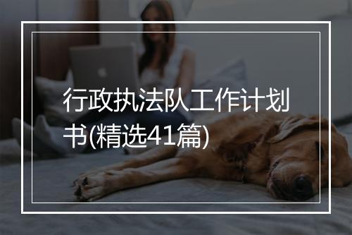 行政执法队工作计划书(精选41篇)