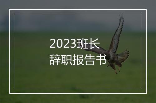 2023班长辞职报告书