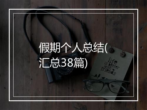 假期个人总结(汇总38篇)