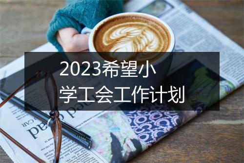 2023希望小学工会工作计划