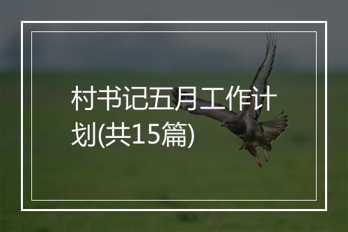 村书记五月工作计划(共15篇)