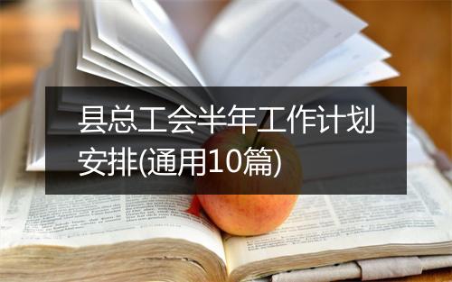 县总工会半年工作计划安排(通用10篇)