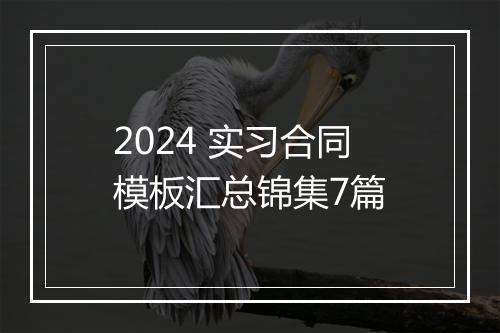 2024 实习合同模板汇总锦集7篇