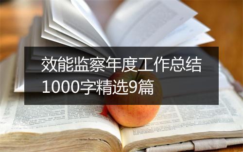 效能监察年度工作总结1000字精选9篇