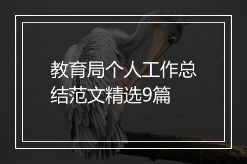 教育局个人工作总结范文精选9篇
