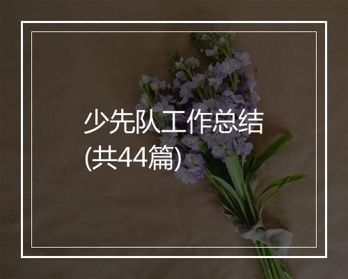 少先队工作总结(共44篇)