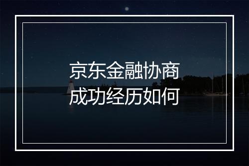 京东金融协商成功经历如何