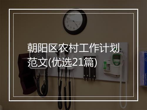 朝阳区农村工作计划范文(优选21篇)