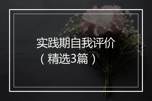 实践期自我评价（精选3篇）