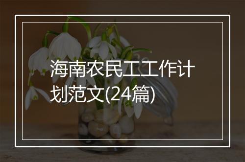 海南农民工工作计划范文(24篇)