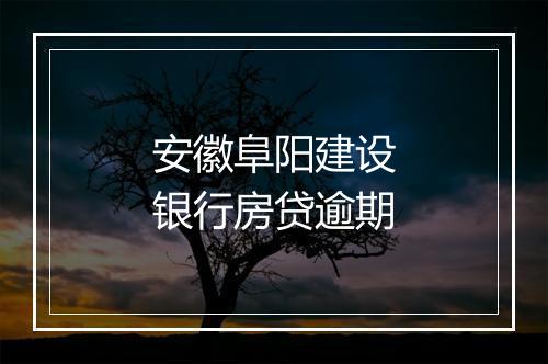 安徽阜阳建设银行房贷逾期