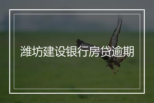 潍坊建设银行房贷逾期