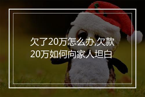 欠了20万怎么办,欠款20万如何向家人坦白