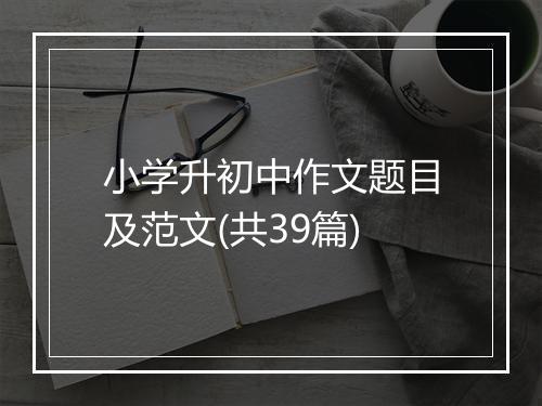 小学升初中作文题目及范文(共39篇)