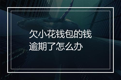 欠小花钱包的钱逾期了怎么办