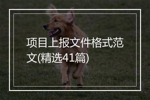 项目上报文件格式范文(精选41篇)