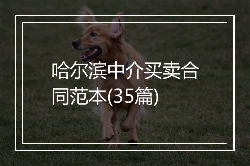 哈尔滨中介买卖合同范本(35篇)