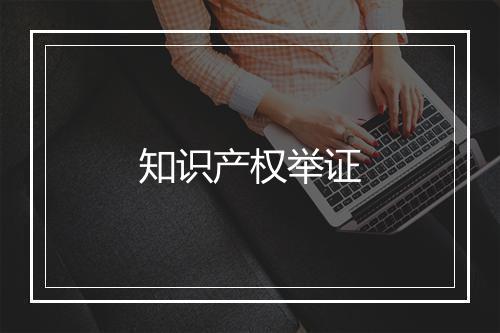 知识产权举证