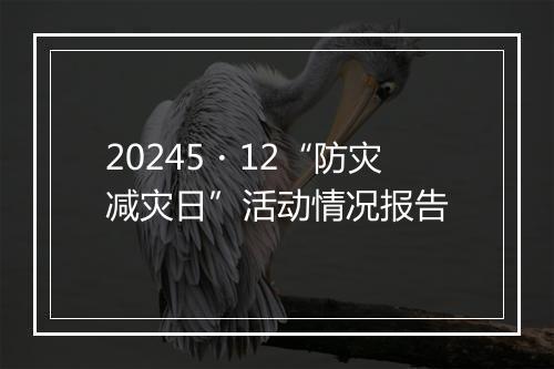 20245・12“防灾减灾日”活动情况报告